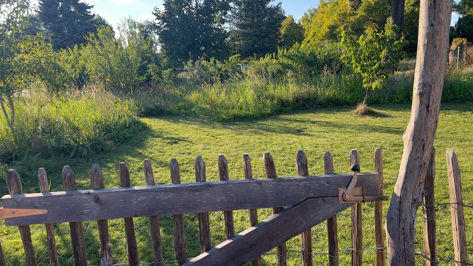 Biesenthal: 1.646 m² erschlossen, Altbau, PV-Anlage, 40 Min nach Berlin – Liebevoll gestaltete Flächen