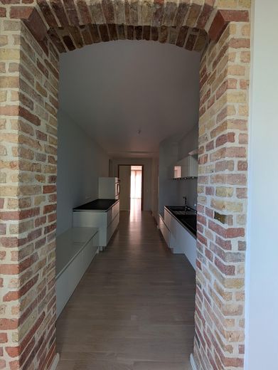 Blick aus dem Wintergarten