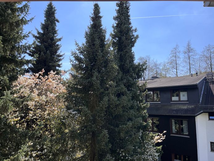 1+1=1 * Großzügige, familientaugliche ETW in ruhiger und dennoch zentraler Lage * in Niedernhausen – Angenehmer Sichtschutz