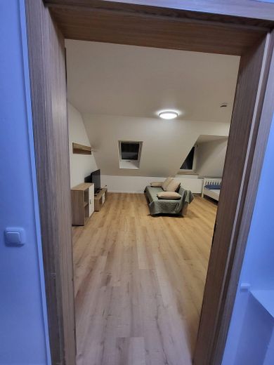 Frisch sanierte, möblierte, geräumige 1-Zimmer Wohnung in Neumarkt i.d.OPf. – Wohnzimmer