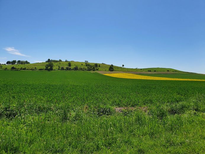 Baugrundstücke im Neubaugebiet Offenbergblick! Keine Provision! Kein Bauzwang! – Der Offenberg, der Namensgeber