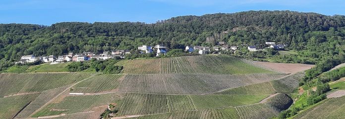Aussicht