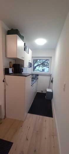 kl. Single Wohnung Innenstad in Braunschweig, neu renoviert, voll möbliert , mit allen Hausgeräten, in ruhige, Grüne Lage, nur ca. 300m von Straßenbahn entfernt – Foto 2