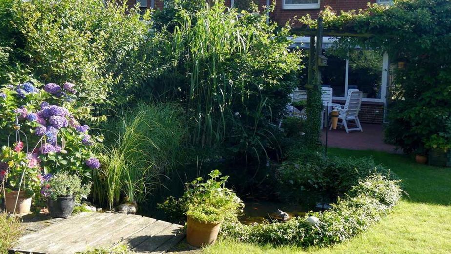 Gartenblick: Teich u Terrasse