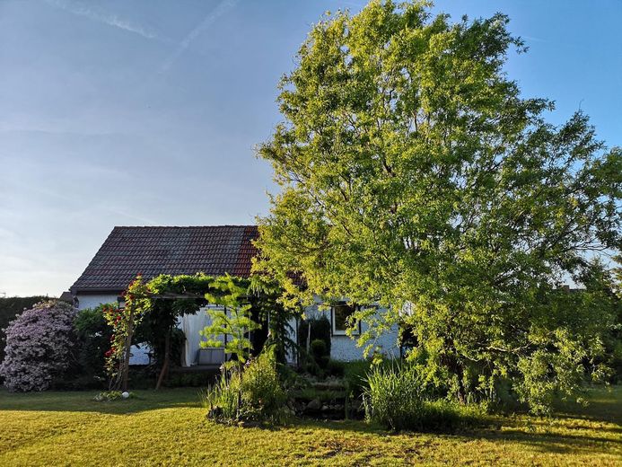 Hausansicht vom Garten