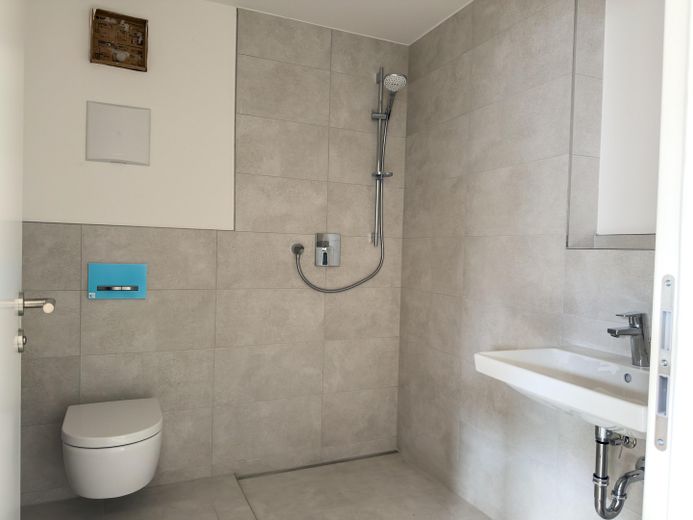 Badezimmer (Duschwand Glas)