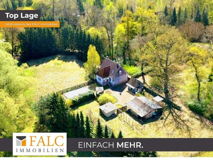 ***Natura i przestrzeń – dom jednorodzinny z dużą działką w idyllicznej lokalizacji*** – Zdjęcie 1