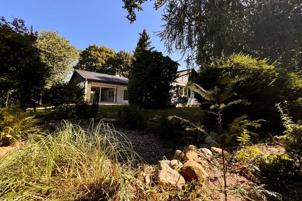 Heller 5-Zimmer-Bungalow mit Kamin, großem Garten & Doppelgarage | Stadtgrenze Hamburg