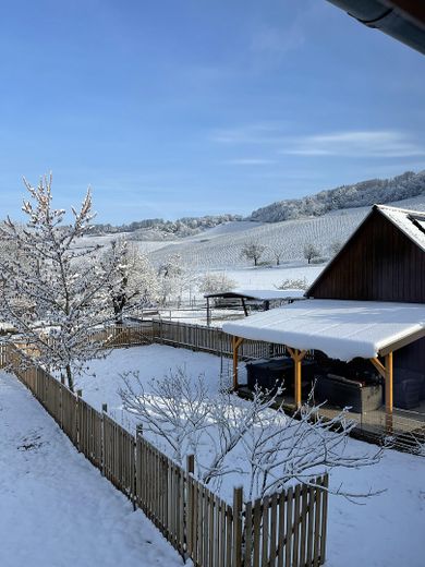Blick aus der Küche
