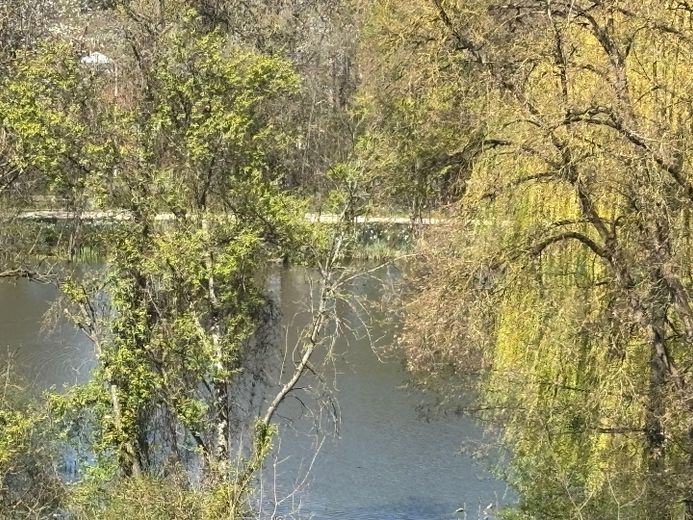 Seeblick