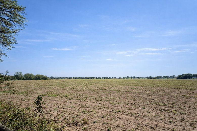 Natur pur in absoluter Alleinlage - 1.002 m² Grundstück mit Bestandsgebäude in Schifftdorf-Bramel – Weide vor dem Haus