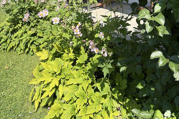 3,5 Zi. Gartenwohnung am Tegernsee