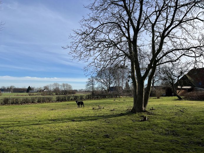 Blick von hinten gen Ostgarten