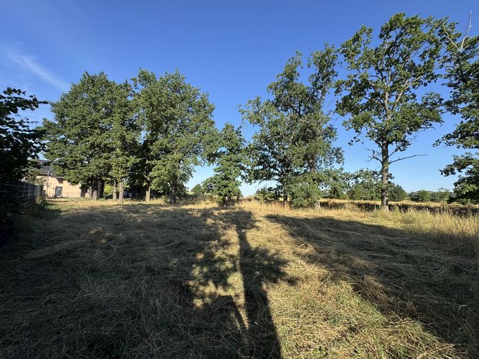 Grundstück im schönen Wiederau - Baupartner für Doppelhaus gesucht – Blick West