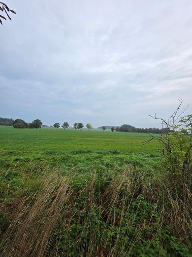 1.298 m² Baugrundstück auf Rügen mit positiver Bauvoranfrage! – Blick vom Grundstück