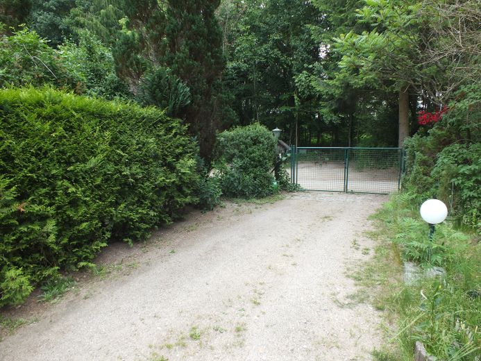 Provisionsfrei - Doppelhaushälfte in Waldnähe – Grundstückszufahrt
