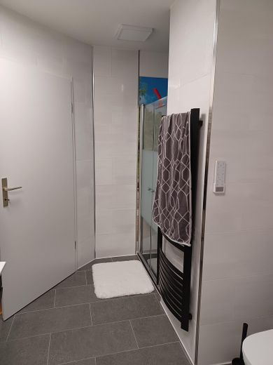 Klimatisierte mod.lichtdurchfl.DG-Whg. Pelleto+PV-Anlage,unverb.FERNSICHT+3-Fachvergl. – Badezimmer
