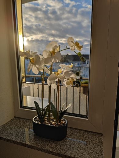 Bochum Şehir Merkezi En İyi Konum ***** Şık döşenmiş ve sakin daire – Sonne auf Balkon