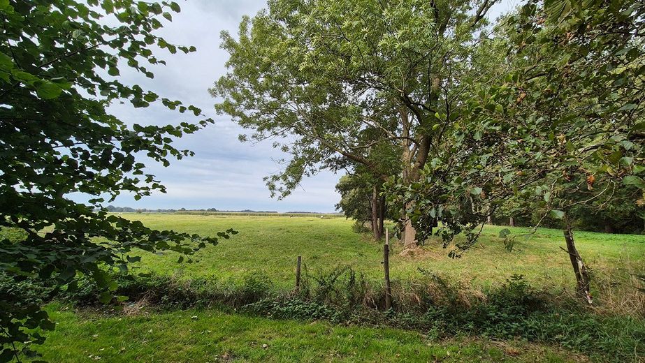 Schöner Resthof in Top Lage – Foto 25