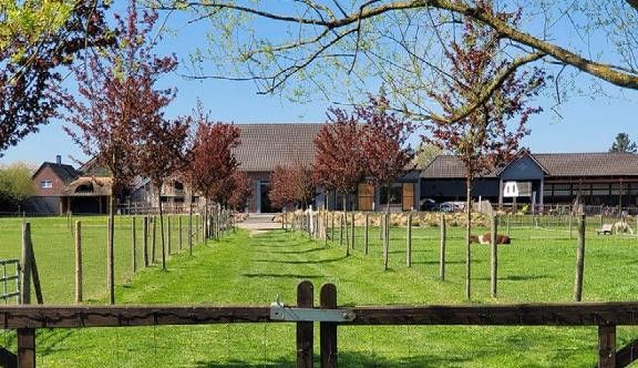 Provisionsfrei  Exklusiver Vierkanthof Nähe Düsseldorf – Foto 26