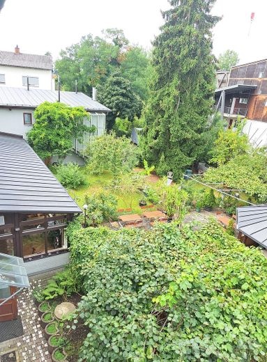 Blick in den Garten