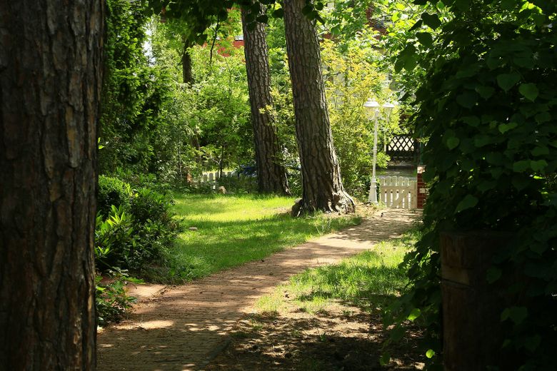 Weg zur Straße