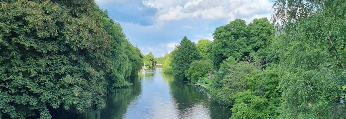 Das Wasser plätschert „vor der Tür“ - Enten und Schwäne schwimmen im Wasser!