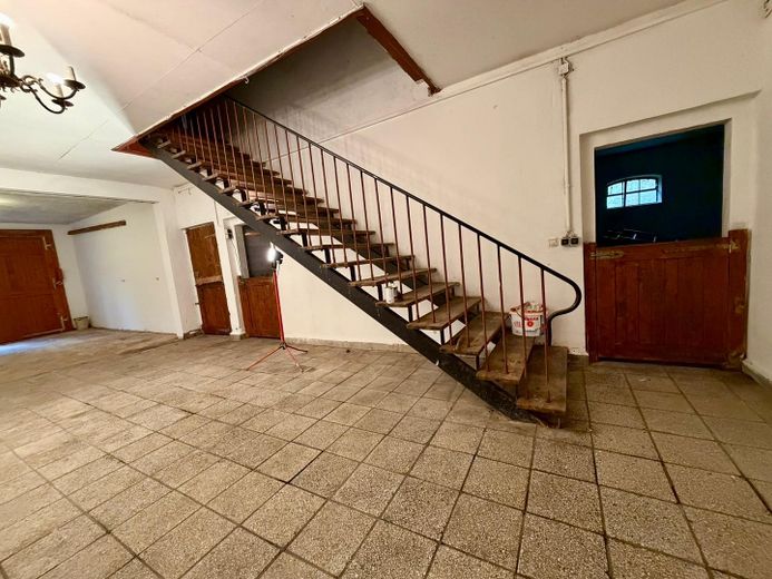 Landhaus unter Reet am See, Gästewohnung, Stallungen, Weiden und Wald. – Foto 41