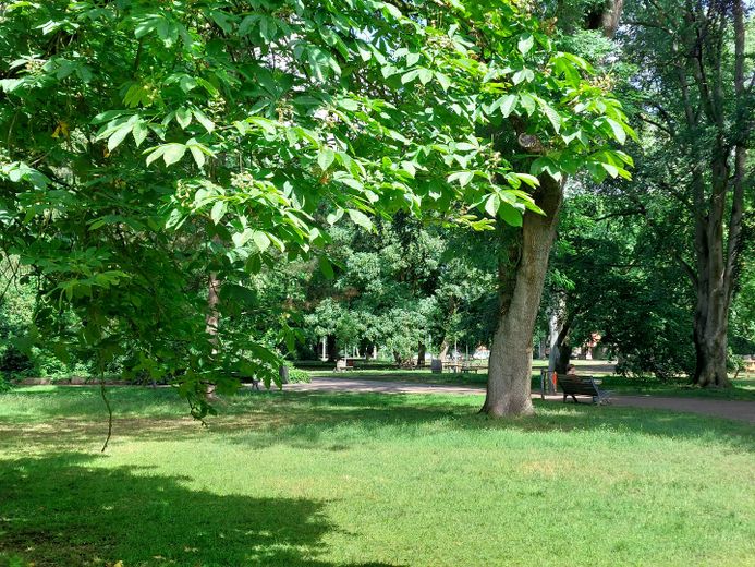 Park