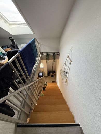 Investoren & Kapitalanleger aufgepasst.  Attraktives Appartement in der Mönchebergstraße 31 in KS – Treppenabgang