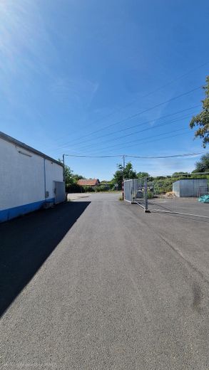 450 m² – 900 m² Lagerhalle mit Büro, Kühl- & Tiefkühlhaus – ab sofort in Köln – Foto 9