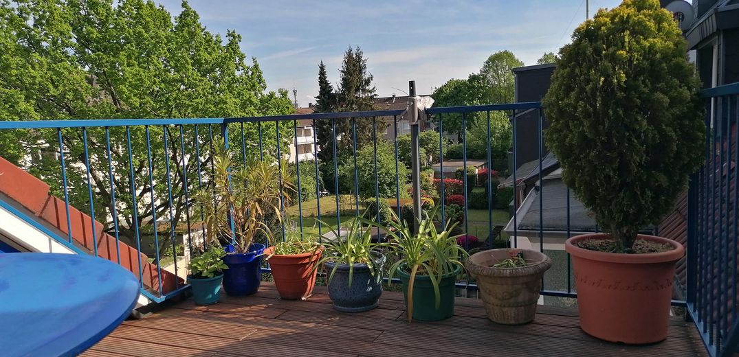 Charmante lichtdurchflutete  Eigentumswohnung mit Dachterrasse in Südlage – Dachterrasse - Südseite