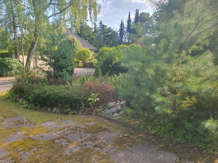 Wohnen wo Hamburg am schönsten ist Einfamilienhaus Doppelhaus Grundstück in Duvenstedt / Walddörfer – Vordergarten