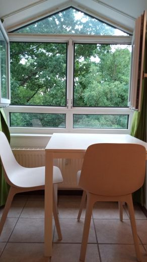 direkt am Park, tolles helles, möbliertes Apartment in ruhiger, zentraler Lage – Blick in Park
