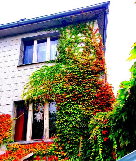 Bella casa con ampio giardino, con possibilità edificatorie per circa 847 mq di superficie abitabile lorda – Foto 6