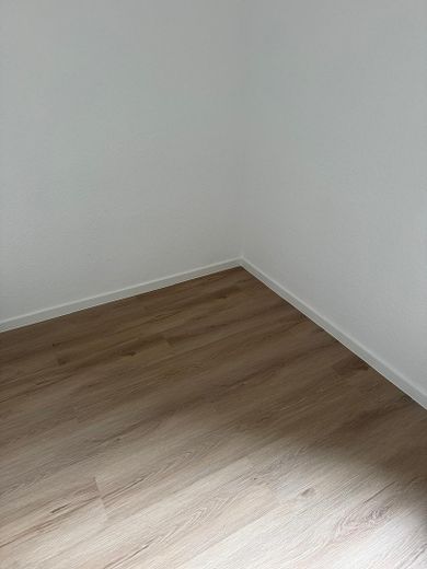 Fußboden und Sockelleisten