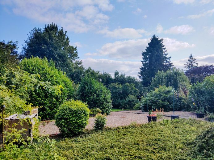 Modernized semi-detached house with view of the Schlei No commission from private seller ... living like on vacation! – Garten und Ausbaureserve