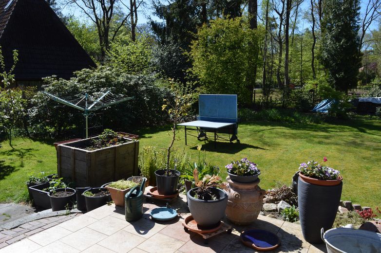 Gartenblick von der Terrasse 3