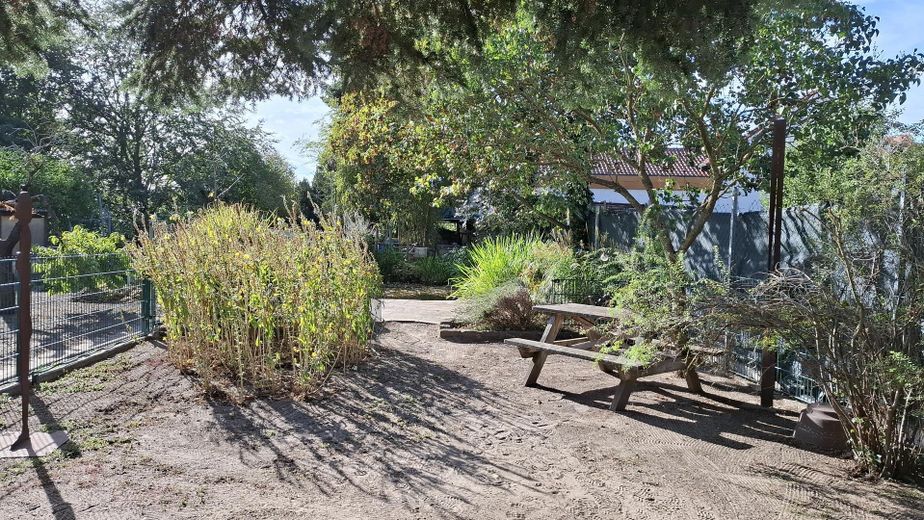 4 आवासीय इकाइयों वाली विशेष आवासीय संपत्ति – Garten zur goßen Wohnung