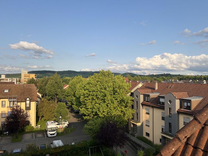 Ausblick