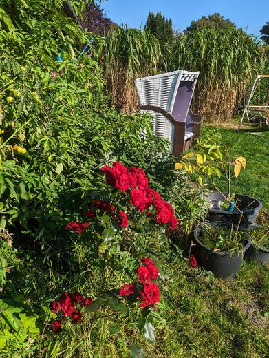 RESERVIERT: Schönes Holzhaus auf großem Grundstück für Naturliebhaber und Individualisten – Foto 8