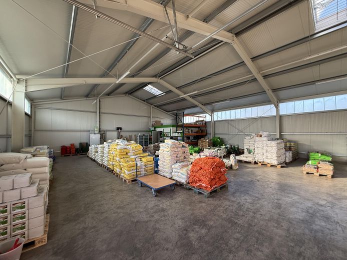 Bien immobilier commercial polyvalent avec vaste terrain d’exploitation à Mühlhausen (Thuringe) – Moderne Lagerhalle