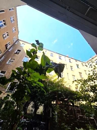 Provisionsfrei - gepflegte, helle Altbauwohnung in Nord-Neukölln – Blick in den Hof
