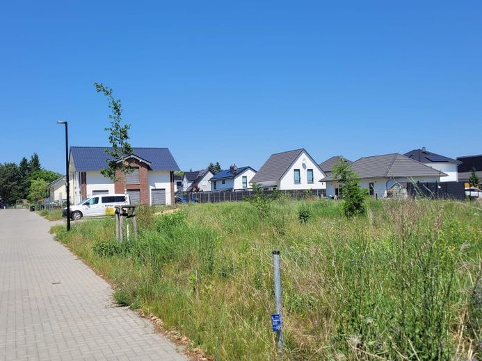 Baufeld
