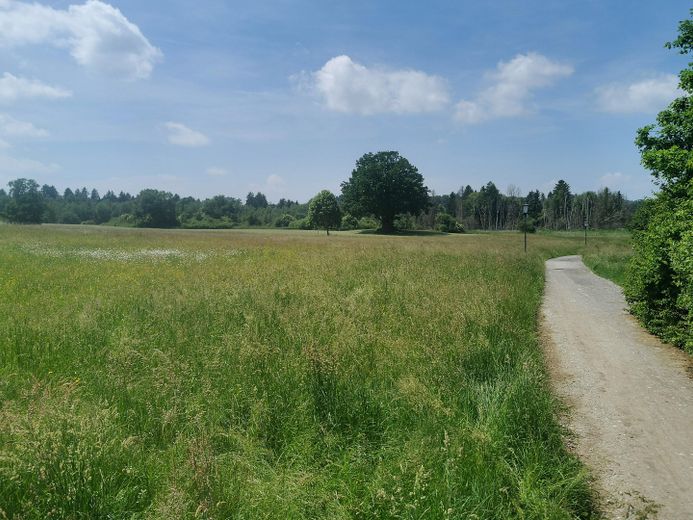 Freie Natur vor der Haustür