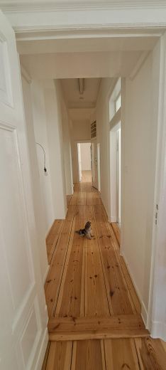 Stilvolle 5-Zimmer-WHG in historischem Altbau - Erstbezug nach Sanierung – Flur mit Hund :)
