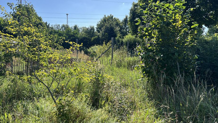 Biesenthal: 1.646 m² erschlossen, Altbau, PV-Anlage, 40 Min nach Berlin – Leben überall