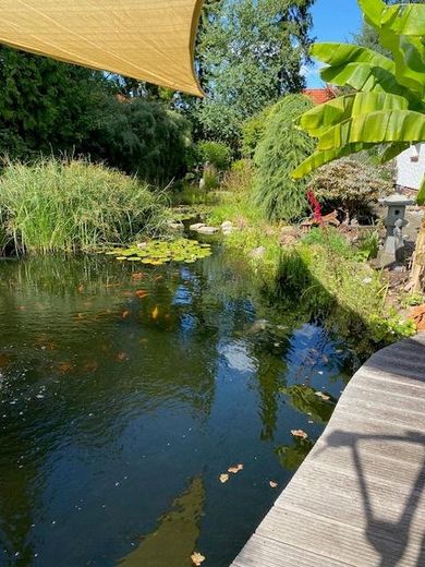 Einfamilienhaus in kühlem Garten – Teich