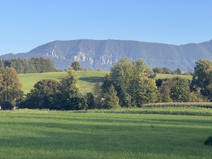Blick v. Garten im Sommer