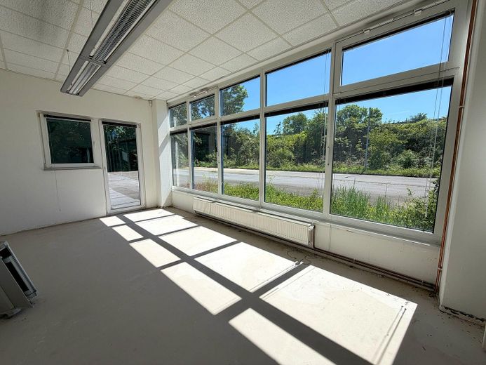 Gewerbehalle mit Bürofläche in Minden –sofort verfügbar/optimale Erreichbarkeit (Kreuz B428/B65) – Foto 1